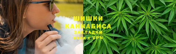 шишки Балабаново