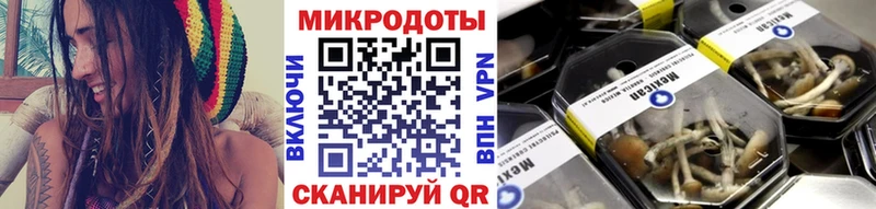 OMG как войти  Канск  Галлюциногенные грибы MAGIC MUSHROOMS  как найти закладки 